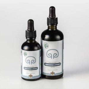 Ganoderma 2x z odsevom1