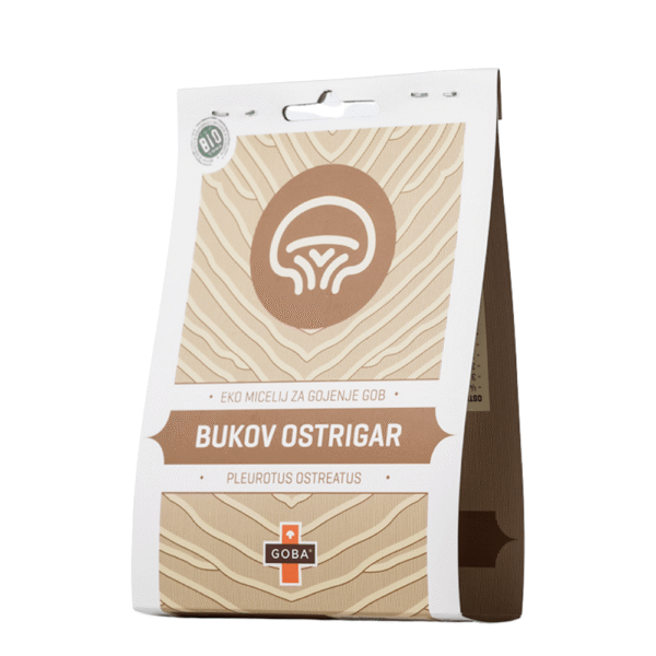 Micelij na čepkih - BUKOV OSTRIGAR