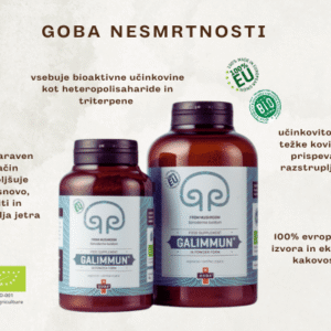 Ganoderma plakat