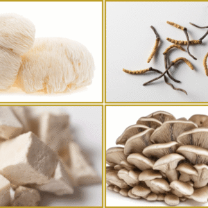 hericium, cordyceps, poria, maitake