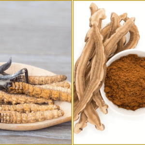 Cordyceps in Ganoderma