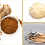 Ganoderma, Hericium in Cordyceps