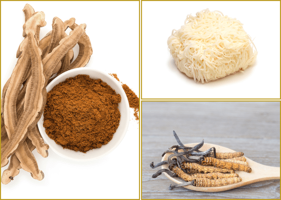 Ganoderma, Hericium in Cordyceps