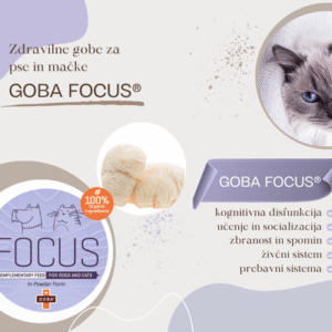 GOBA FOCUS letak