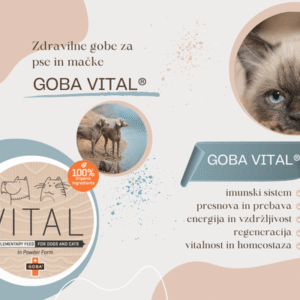 GOBA VITAL letak