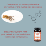 Copro projekt - CordyVit K PRO