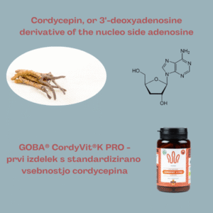 Copro projekt - CordyVit K PRO